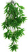Small - 1 count Komodo Bamboo Hanging Vine Terrarium Plant