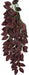 Small - 1 count Komodo Zebrina Hanging Vine Terrarium Plant