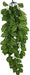 Small - 1 count Komodo Two-Tone Hanging Vine Terrarium Plant