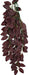 Large - 1 count Komodo Zebrina Hanging Vine Terrarium Plant
