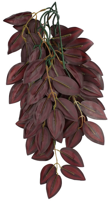 Large - 1 count Komodo Zebrina Hanging Vine Terrarium Plant