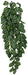 Large - 1 count Komodo Two-Tone Hanging Vine Terrarium Plant