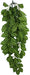 Large - 1 count Komodo Two-Tone Hanging Vine Terrarium Plant
