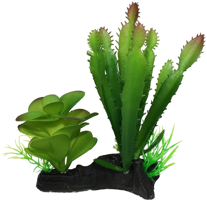 1 count Komodo Succulent and Cactus Habitat Ornament