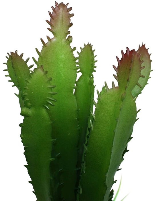 1 count Komodo Succulent and Cactus Habitat Ornament