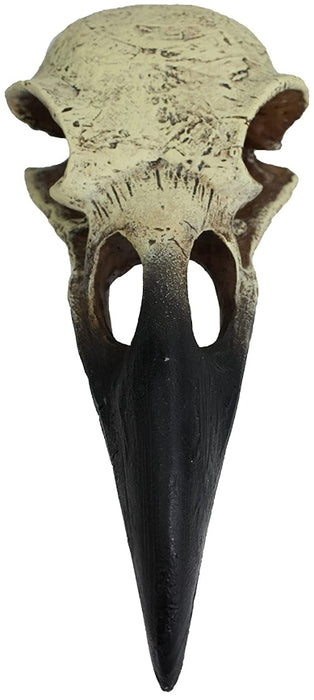 Medium - 1 count Komodo Raven Skull Terrarium Decoration