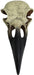 Large - 1 count Komodo Raven Skull Terrarium Decoration