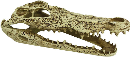 1 count Komodo Alligator Skull Terrarium Decoration