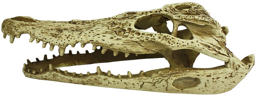 1 count Komodo Alligator Skull Terrarium Decoration