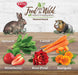 1 oz Kaytee Food From The Wild Treat Medley Rabbit / Guinea Pig