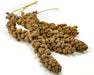 10 lb (2 x 5 lb) Kaytee Gold Spray Millet for Birds