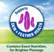 4 lb Kaytee Forti Diet Pro Health Healthy Support Diet Parakeet