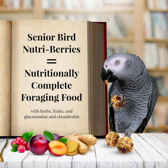 10 oz Lafeber Senior Bird Nutri-Berries Parrot Food