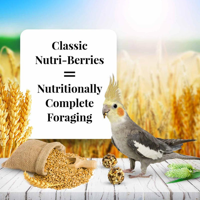 4 lb Lafeber Classic Nutri-Berries Cockatiel Food