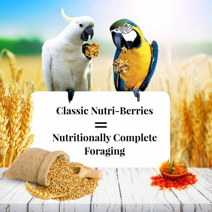 3.5 lb Lafeber Classic Nutri-Berries Macaw and Cockatoo Food