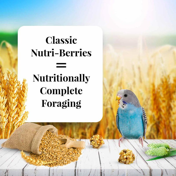 10 oz Lafeber Classic Nutri-Berries Parakeet Food