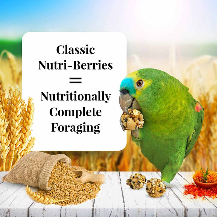 10 oz Lafeber Classic Nutri-Berries Parrot Food