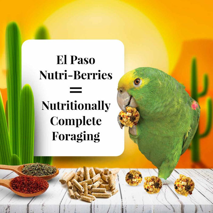 10 oz Lafeber El Paso Nutri-Berries Parrot Food