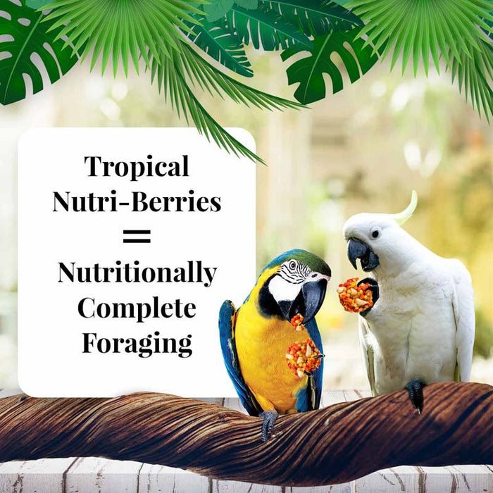 10 oz Lafeber Tropical Fruit Nutri-Berries Macaw and Cockatoo Food