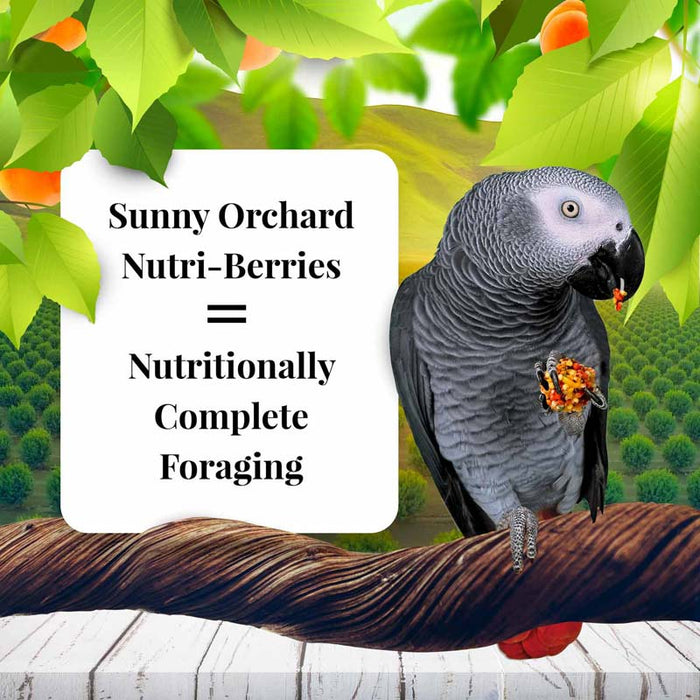 10 oz Lafeber Sunny Orchard Nutri-Berries Parrot Food