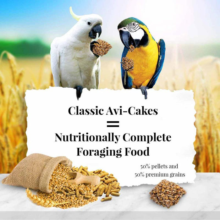 16 oz Lafeber Classic Avi-Cakes Gourmet Macaw and Cockatoo Food
