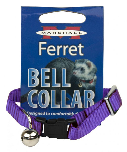 1 count Marshall Ferret Bell Collar Purple