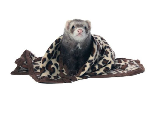 1 count Marshall Designer Fleece Blanket for Small Animals