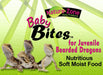 6 oz Nature Zone Baby Bites for Juvenile Bearded Dragons