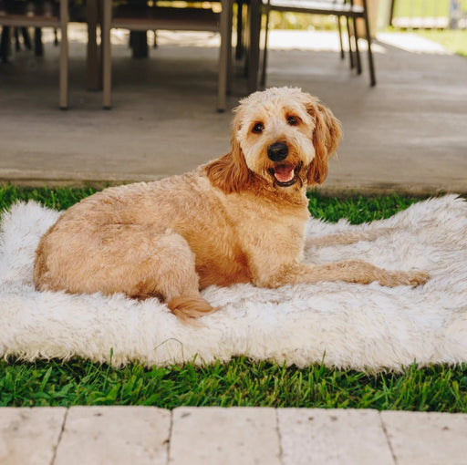 1 count Paw PupRug Portable Orthopedic Dog Bed White