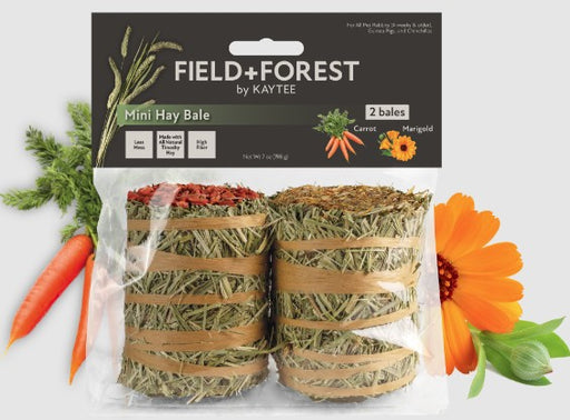2 count Kaytee Field and Forest Mini Hay Bale Carrot and Marigold