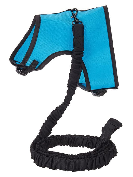 X-Large - 1 count Kaytee Comfort Harness Plus Stretchy Leash Assorted Colors