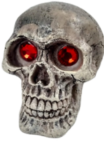 Mini - 1 count Penn Plax Deco-Replicas Skull Gazer Ornament Assorted Styles