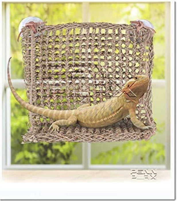 1 count Reptology Lizard-Lounger Sun-Lover Window Perch