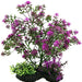 1 count Penn Plax Bonsai Plant 7-8" Purple