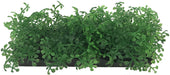 1 count Penn Plax Green Bunch Plants Small