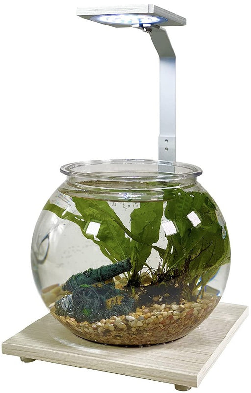1.1 gallon Penn Plax Eco-Sphere Bowl with Plant-Grow LED Light