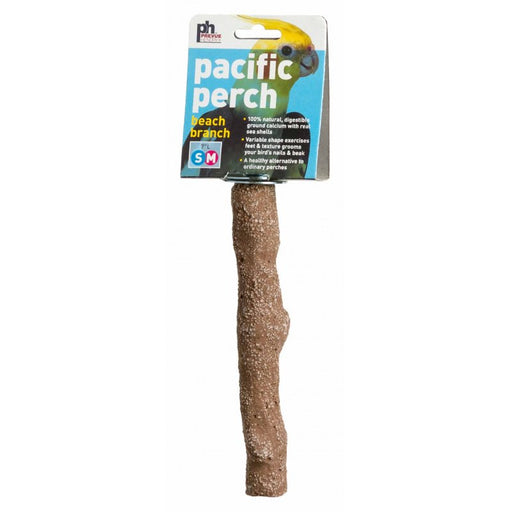 Medium - 1 count Prevue Pacific Perch Beach Branch