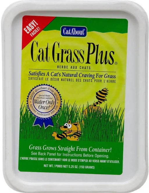 1 count Gimborn CatA'bout Cat Grass Plus Multi-Cat