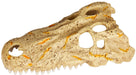 Medium - 1 count Zilla Rapid Sense Decor Crocodile Skull