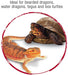 24 oz (6 x 4 oz) Zilla Reptile Munchies Omnivore Mix with Calcium
