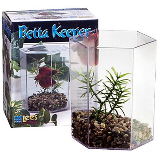 12 count Lees Betta Keeper Hex Aquarium Kit