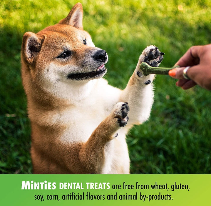 96 count (12 x 8 ct) Sergeants Minties Dental Treats for Dogs Medium Large
