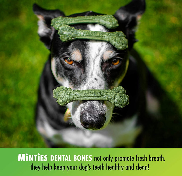 120 count (3 x 40 ct) Sergeants Minties Dental Treats for Dogs Tiny Small