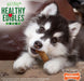 4 count Nylabone Puppy Healthy Edibles Natural Long Lasting Lamb and Apple Dog Chew and Treat