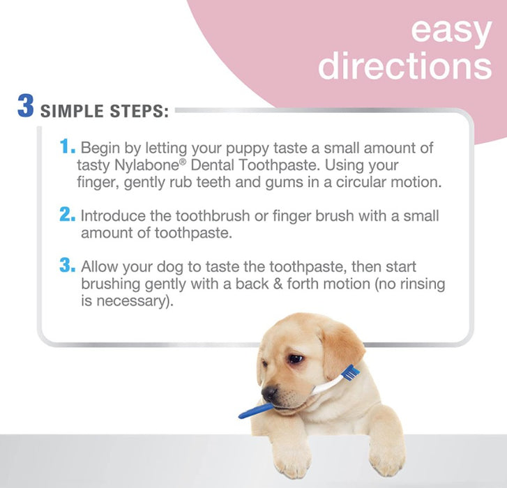 1 count Nylabone Advanced Oral Care Puppy Dental Kit