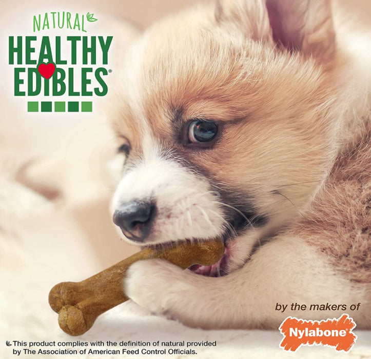 48 count (6 x 8 ct) Nylabone Healthy Edibles Puppy Lamb and Apple Petite