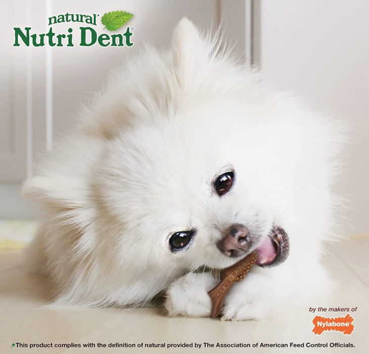 78 count Nylabone Natural Nutri Dent Filet Mignon Limited Ingredients Mini Dog Chews