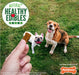 6 oz Nylabone Natural Healthy Edibles Bacon Chewy Bites Dog Treats