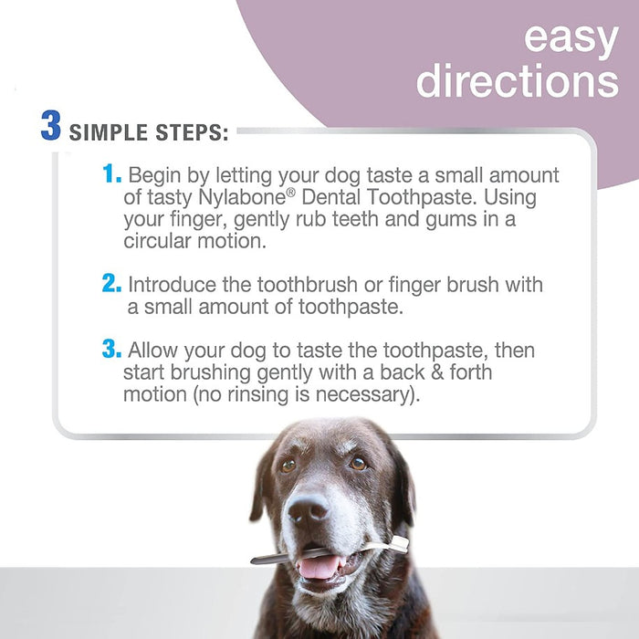 9 count Nylabone Advanced Oral Care Senior Dog Dental Kit with Cushiony Soft-Bristle Toothbrush
