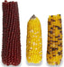 36 oz (6 x 6 oz) Vitakraft Mini-Pop Indian Corn Treat for Small Animals